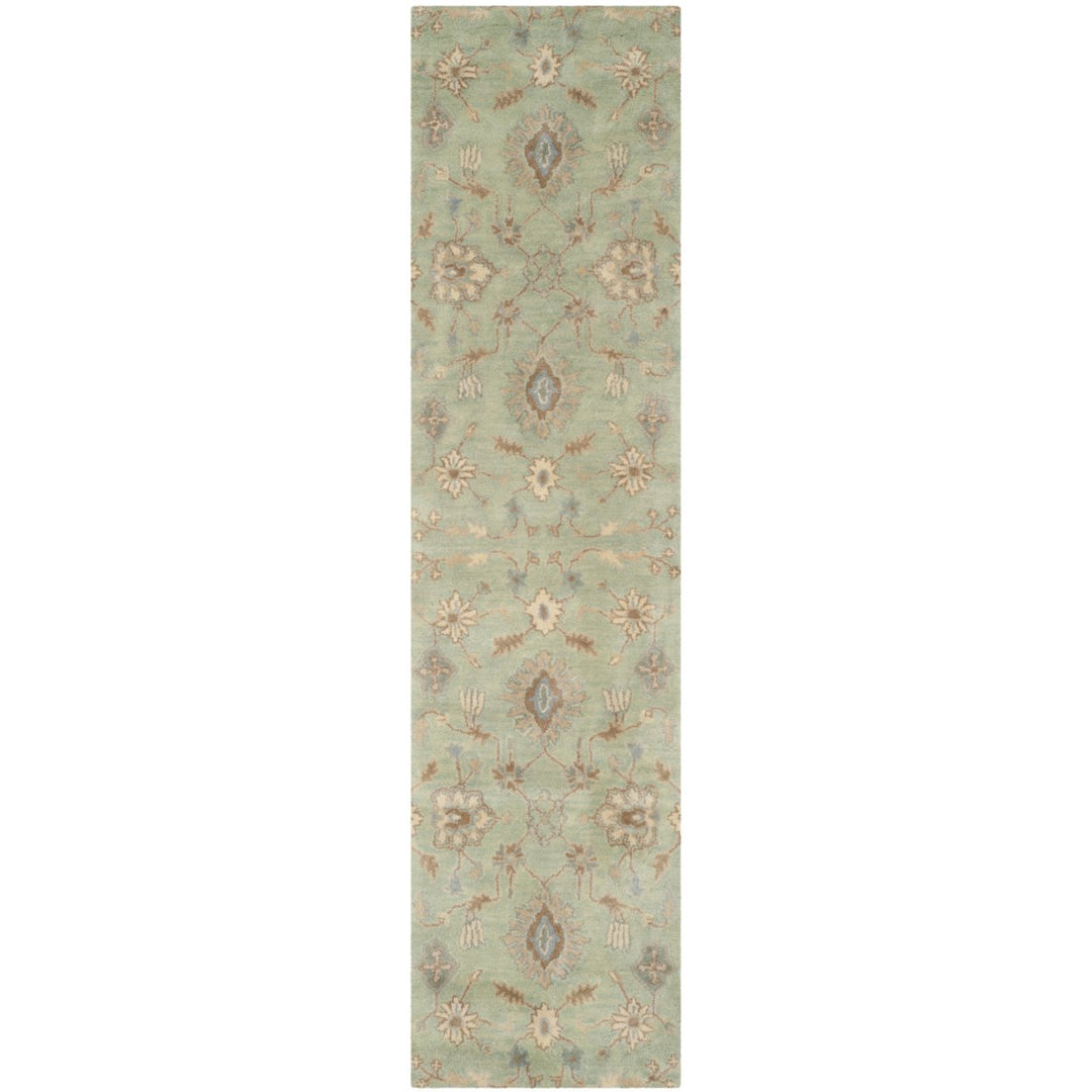 SAFAVIEH Wyndham WYD202A Handmade Light Green Rug Image 1