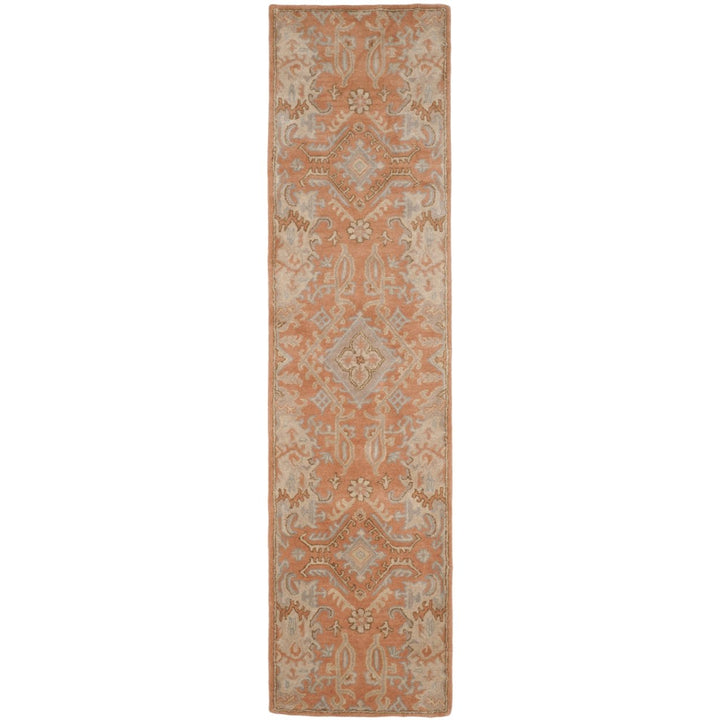 SAFAVIEH Wyndham WYD203A Handmade Terracotta Rug Image 1