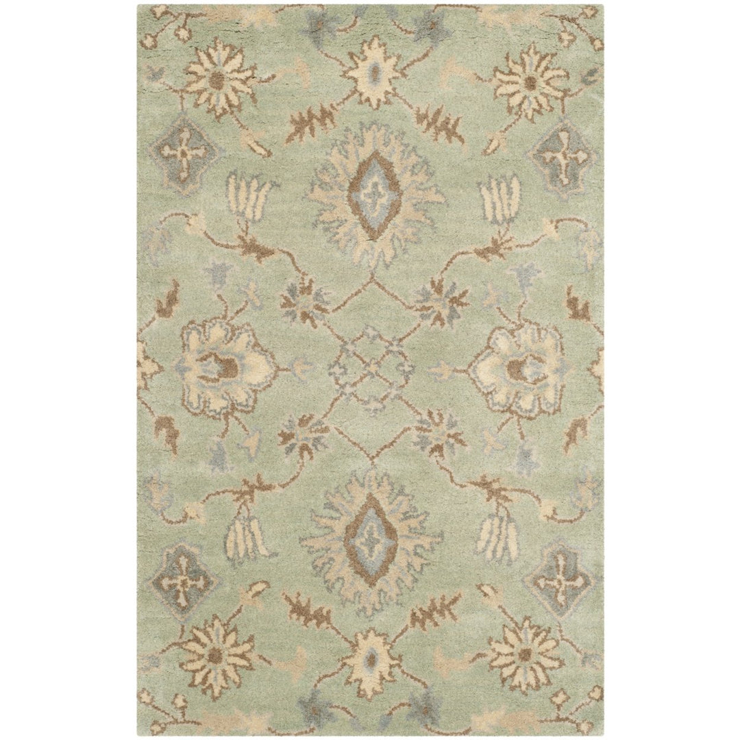 SAFAVIEH Wyndham WYD202A Handmade Light Green Rug Image 1