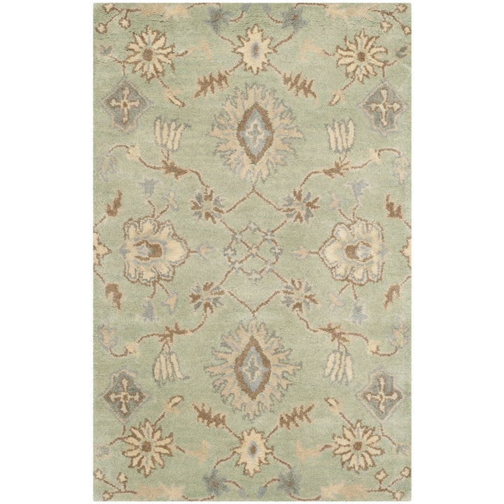 SAFAVIEH Wyndham WYD202A Handmade Light Green Rug Image 1