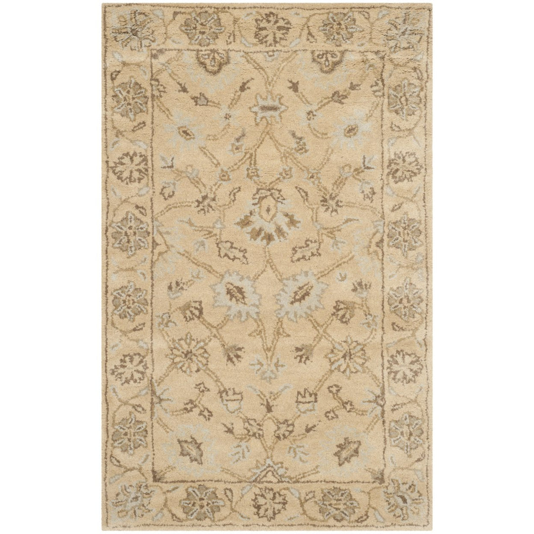 SAFAVIEH Wyndham WYD205A Light Gold / Light Gold Rug Image 1