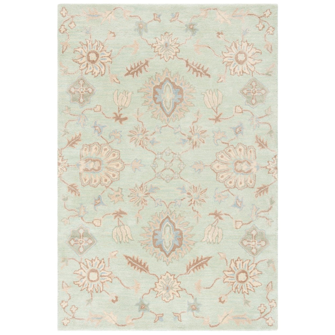 SAFAVIEH Wyndham WYD202A Handmade Light Green Rug Image 1