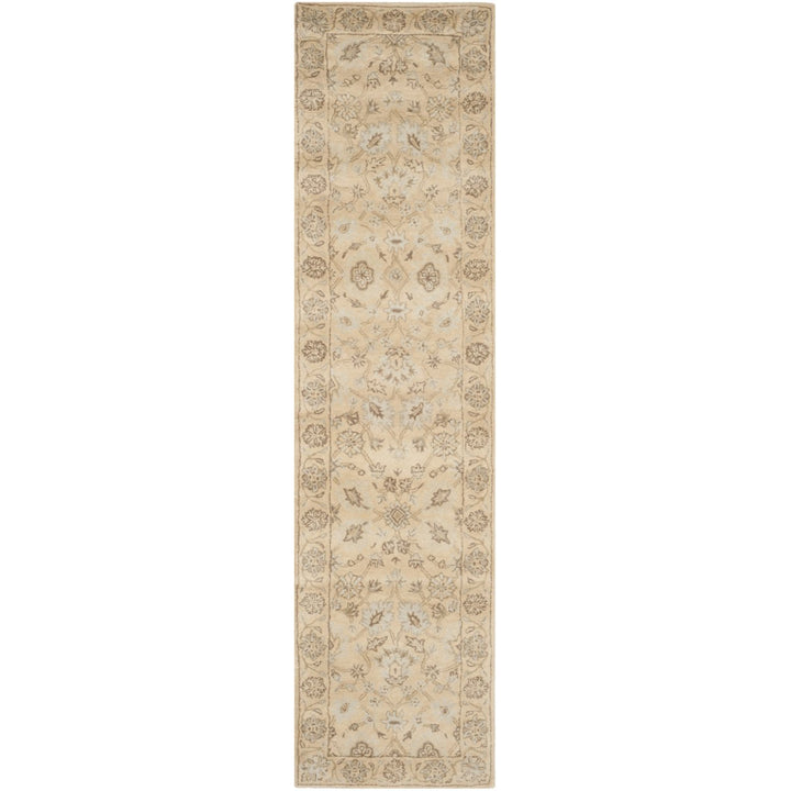 SAFAVIEH Wyndham WYD205A Light Gold / Light Gold Rug Image 1