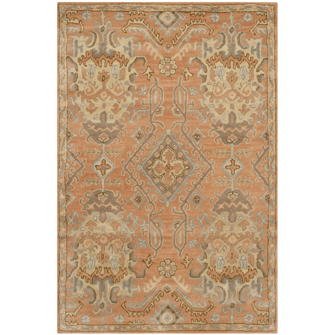 SAFAVIEH Wyndham WYD203A Handmade Terracotta Rug Image 1