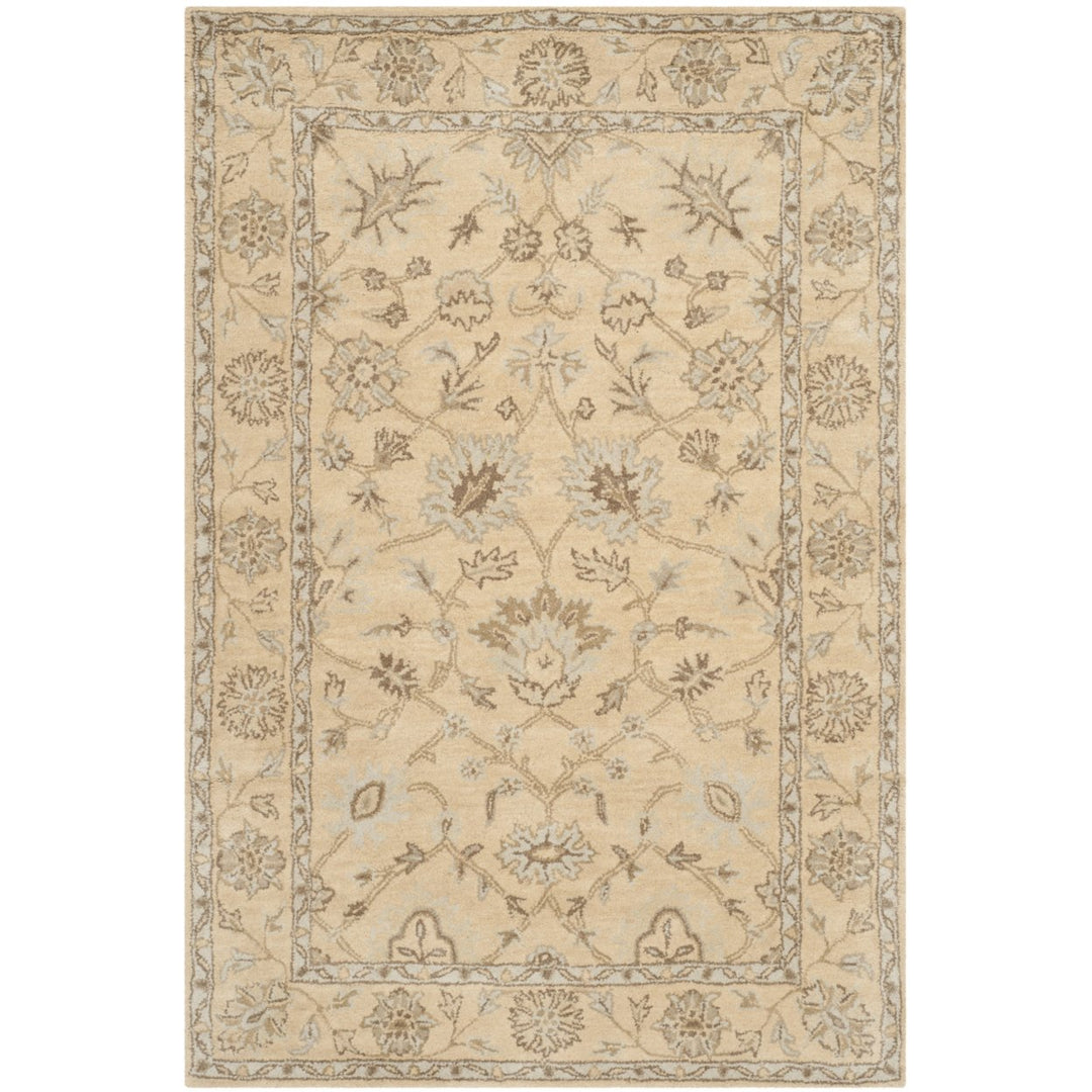 SAFAVIEH Wyndham WYD205A Light Gold / Light Gold Rug Image 1