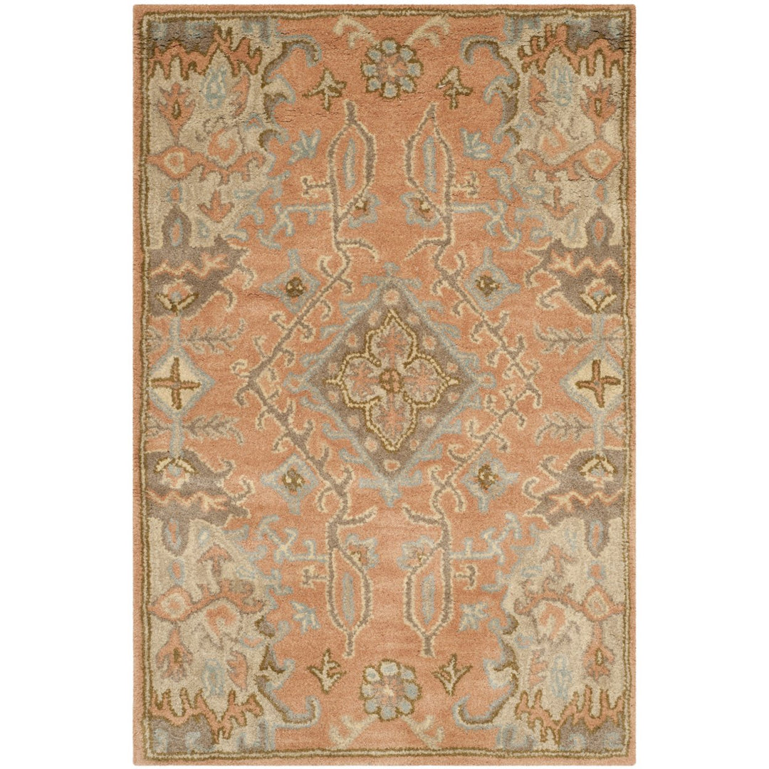 SAFAVIEH Wyndham WYD203A Handmade Terracotta Rug Image 1