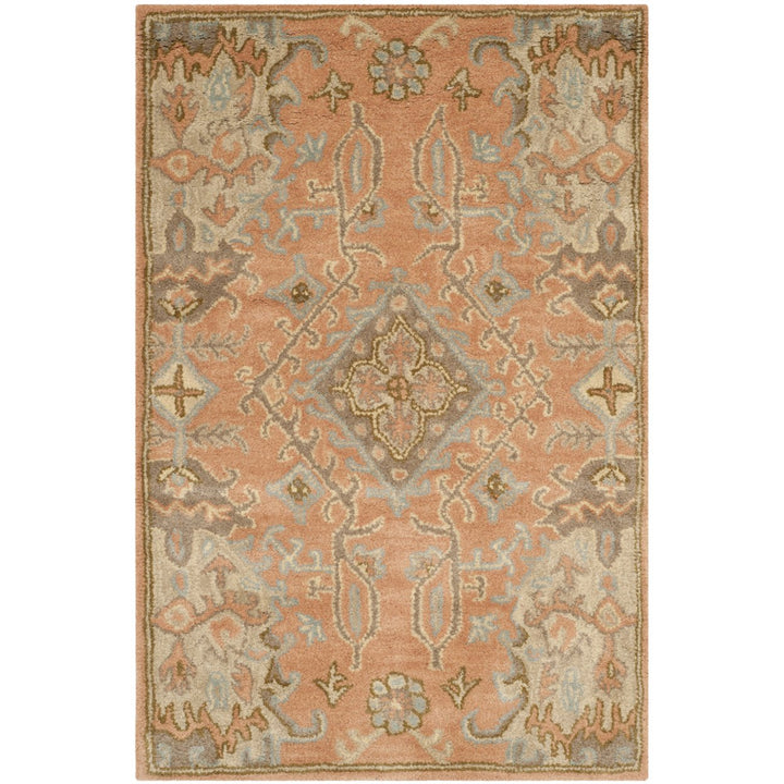 SAFAVIEH Wyndham WYD203A Handmade Terracotta Rug Image 1