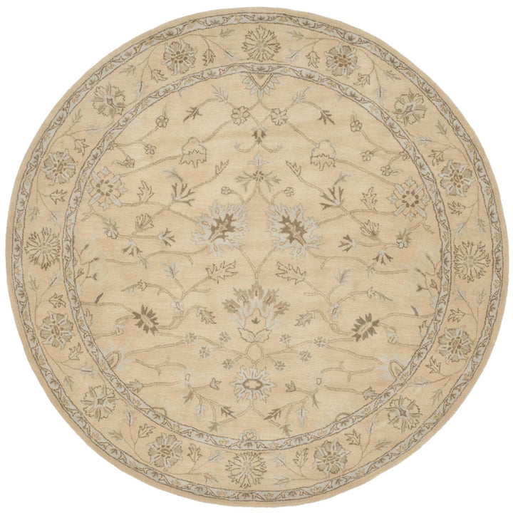 SAFAVIEH Wyndham WYD205A Light Gold / Light Gold Rug Image 1