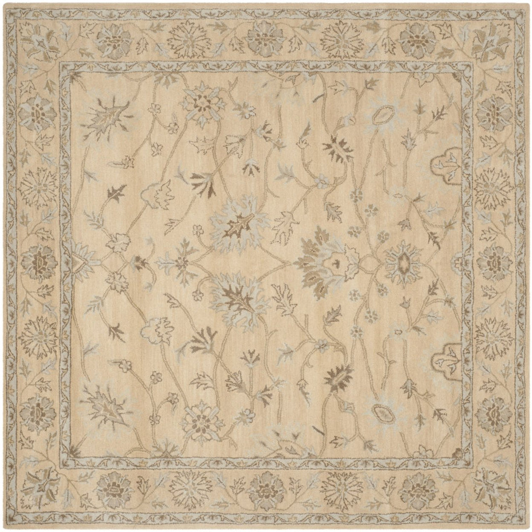 SAFAVIEH Wyndham WYD205A Light Gold / Light Gold Rug Image 1