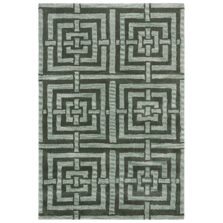 SAFAVIEH Wyndham Collection WYD375B Handmade Sage Rug Image 10