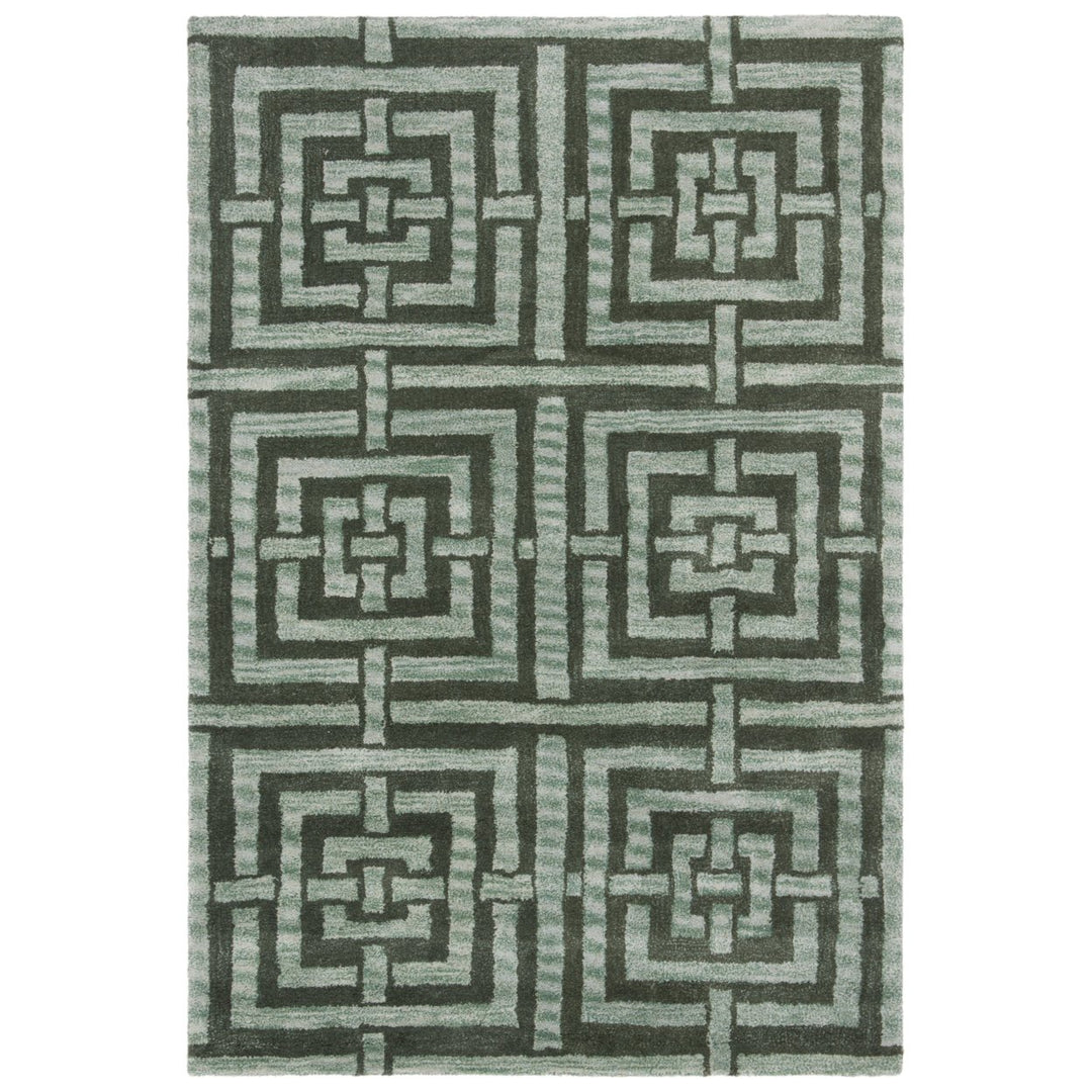 SAFAVIEH Wyndham Collection WYD375B Handmade Sage Rug Image 1