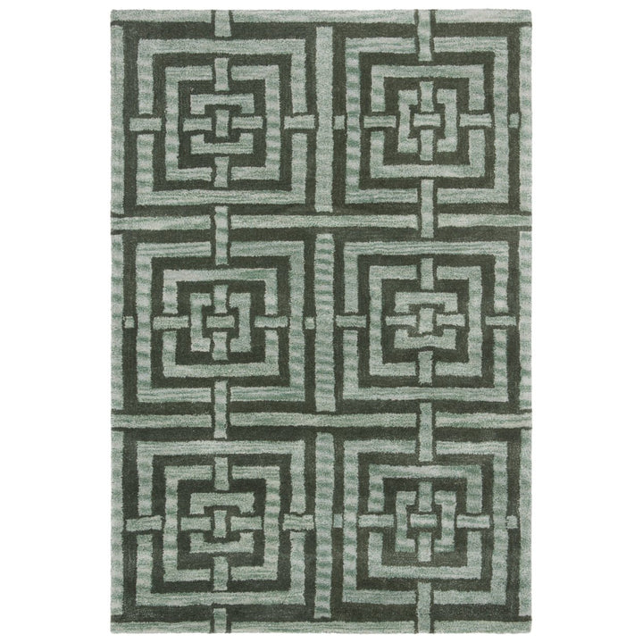 SAFAVIEH Wyndham Collection WYD375B Handmade Sage Rug Image 1