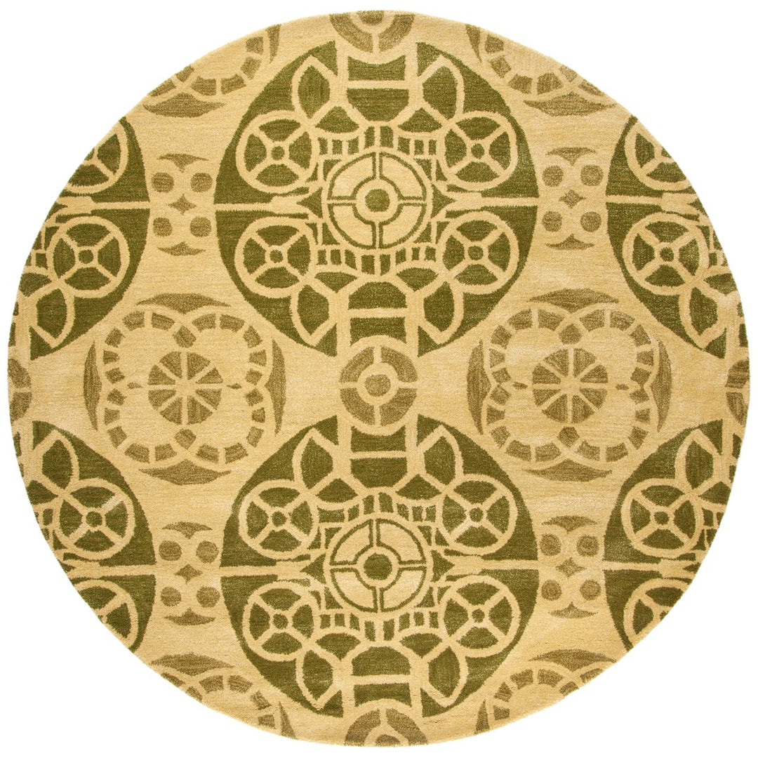 SAFAVIEH Wyndham WYD376L Handmade Honey / Green Rug Image 1