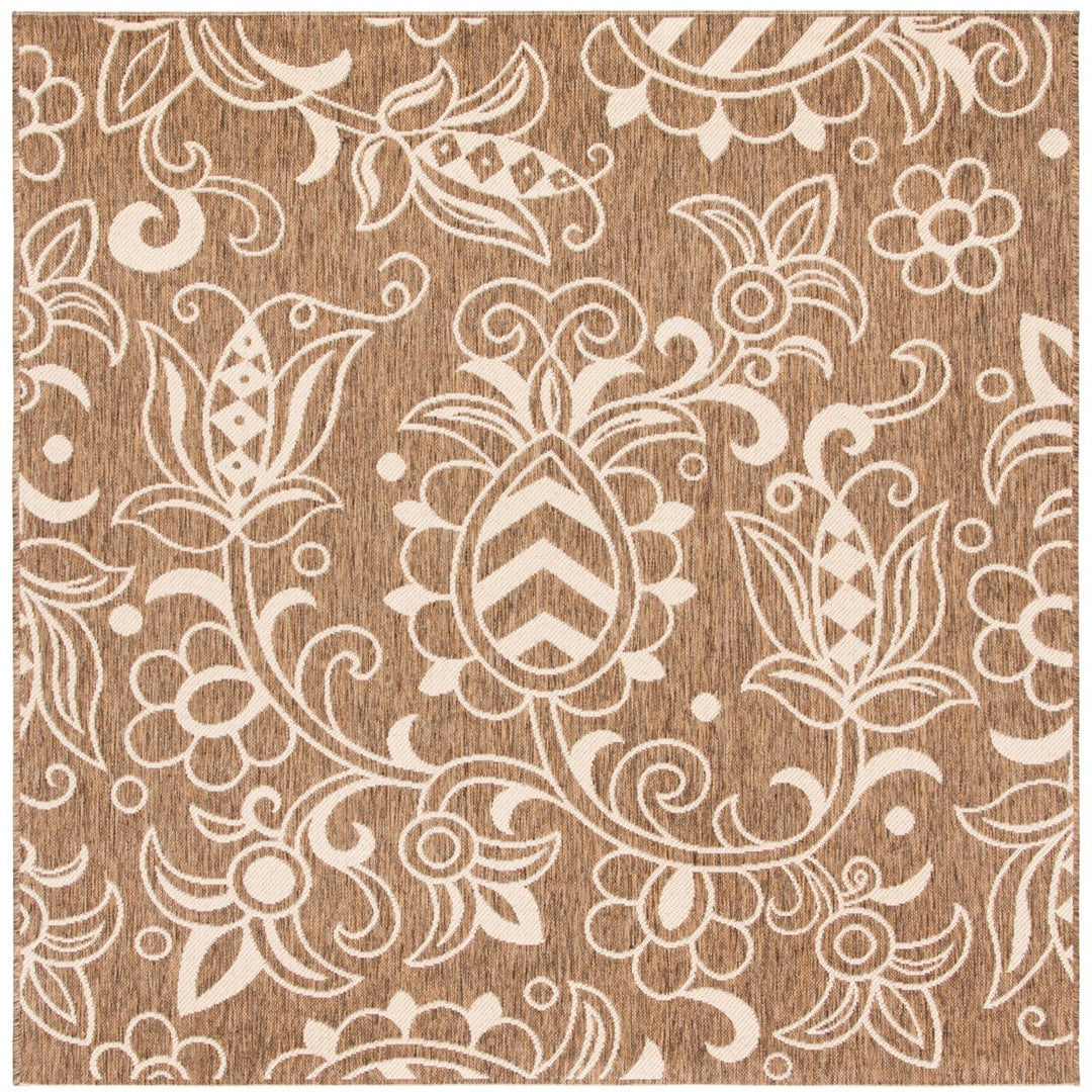 SAFAVIEH Indoor Outdoor BHS246T Beach House Brown / Beige Rug Image 1