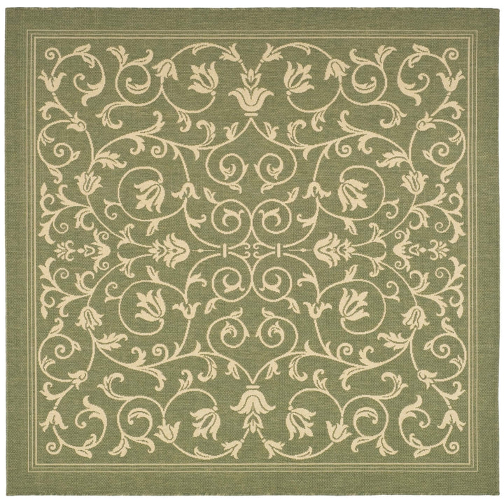SAFAVIEH Outdoor CY2098-1E06 Courtyard Olive / Natural Rug Image 7