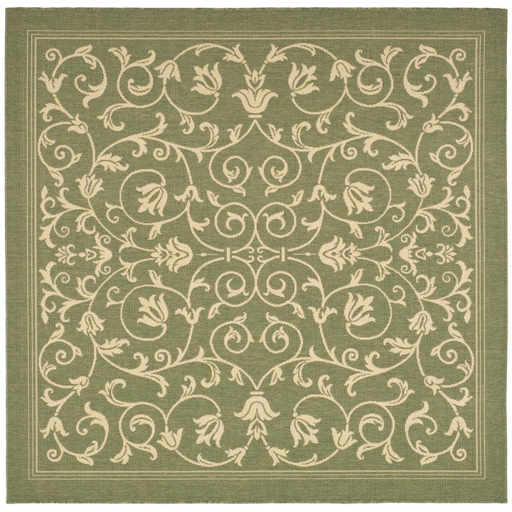 SAFAVIEH Outdoor CY2098-1E06 Courtyard Olive / Natural Rug Image 1