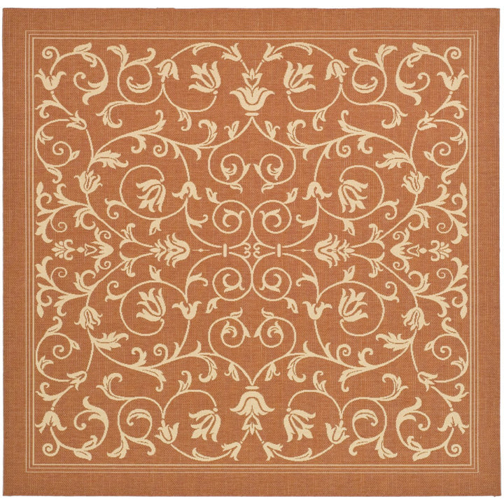 SAFAVIEH Outdoor CY2098-3202 Courtyard Terracotta / Natural Rug Image 1