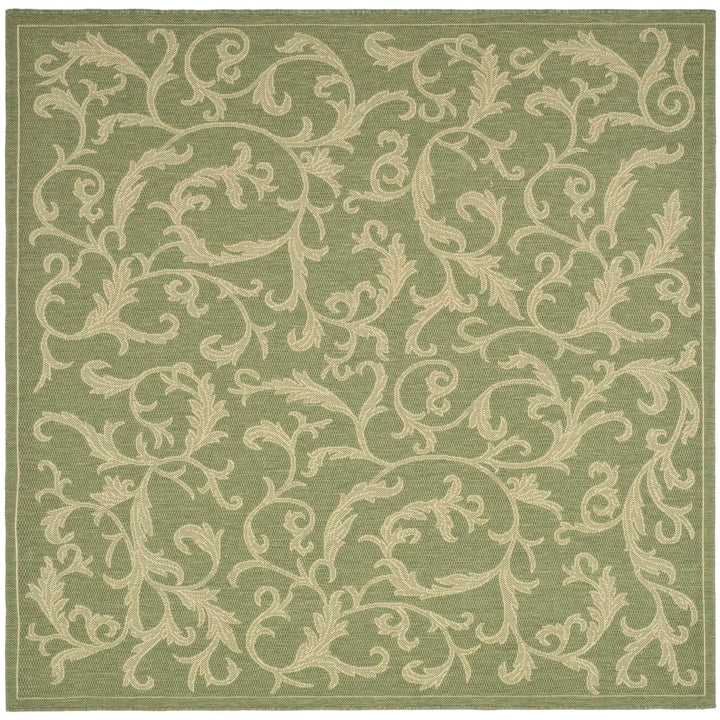 SAFAVIEH Outdoor CY2653-1E06 Courtyard Olive / Natural Rug Image 1
