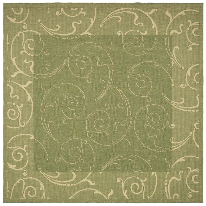 SAFAVIEH Outdoor CY2665-1E06 Courtyard Olive / Natural Rug Image 1