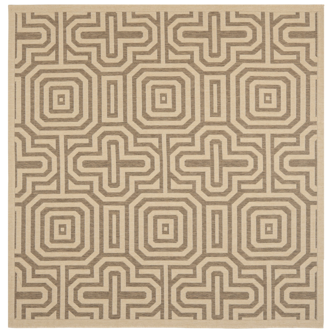 SAFAVIEH Outdoor CY2962-3001 Courtyard Natural / Brown Rug Image 10
