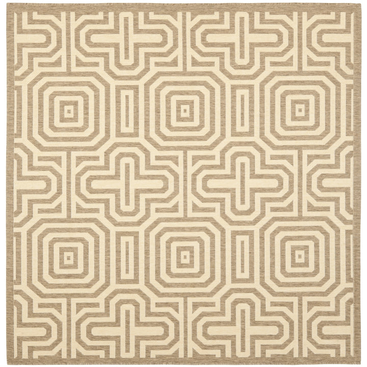 SAFAVIEH Outdoor CY2962-3009 Courtyard Brown / Natural Rug Image 5