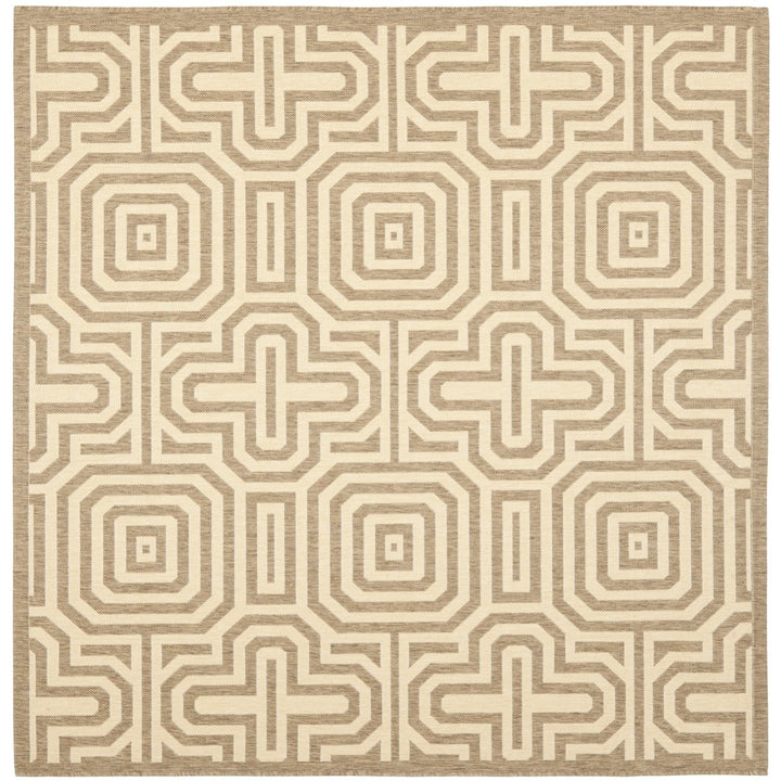 SAFAVIEH Outdoor CY2962-3009 Courtyard Brown / Natural Rug Image 1