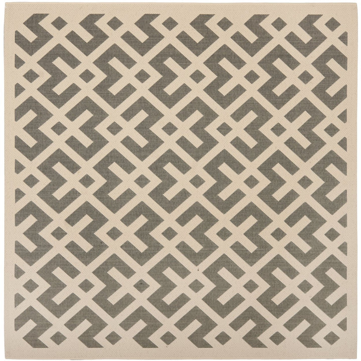 SAFAVIEH Outdoor CY6915-236 Courtyard Grey / Bone Rug Image 1