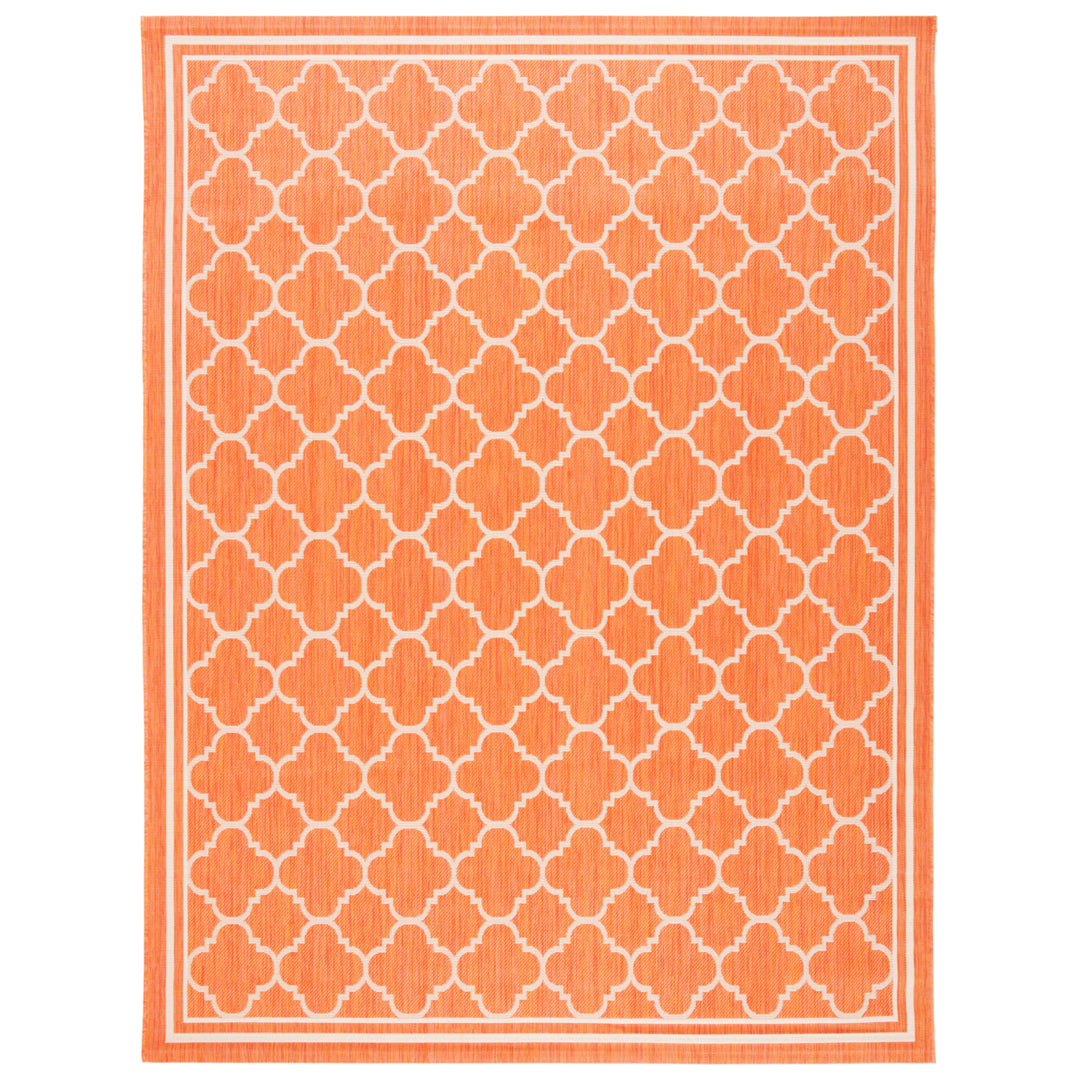 SAFAVIEH Outdoor CY6918-241 Courtyard Terracotta / Bone Rug Image 4