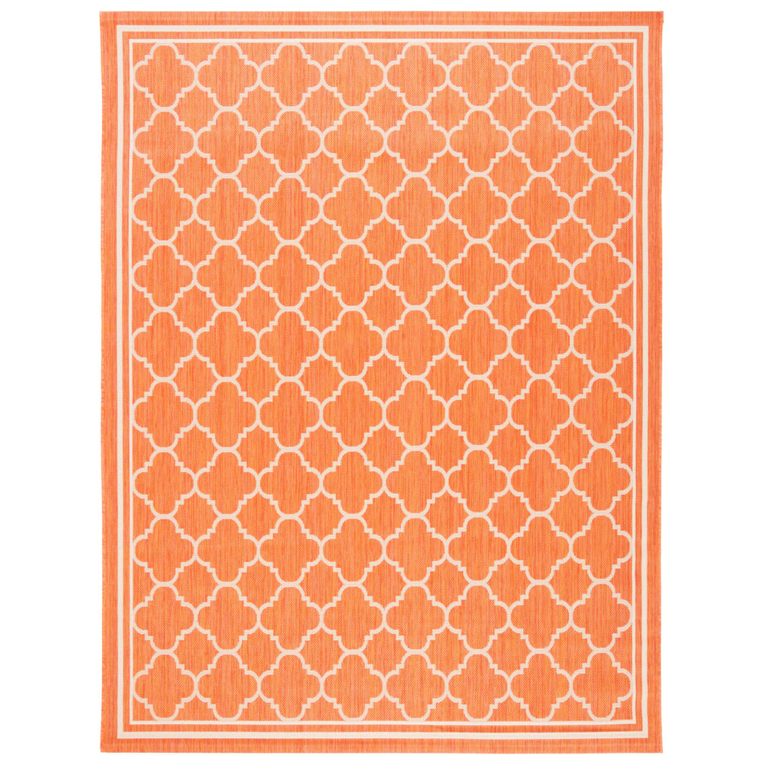 SAFAVIEH Outdoor CY6918-241 Courtyard Terracotta / Bone Rug Image 1