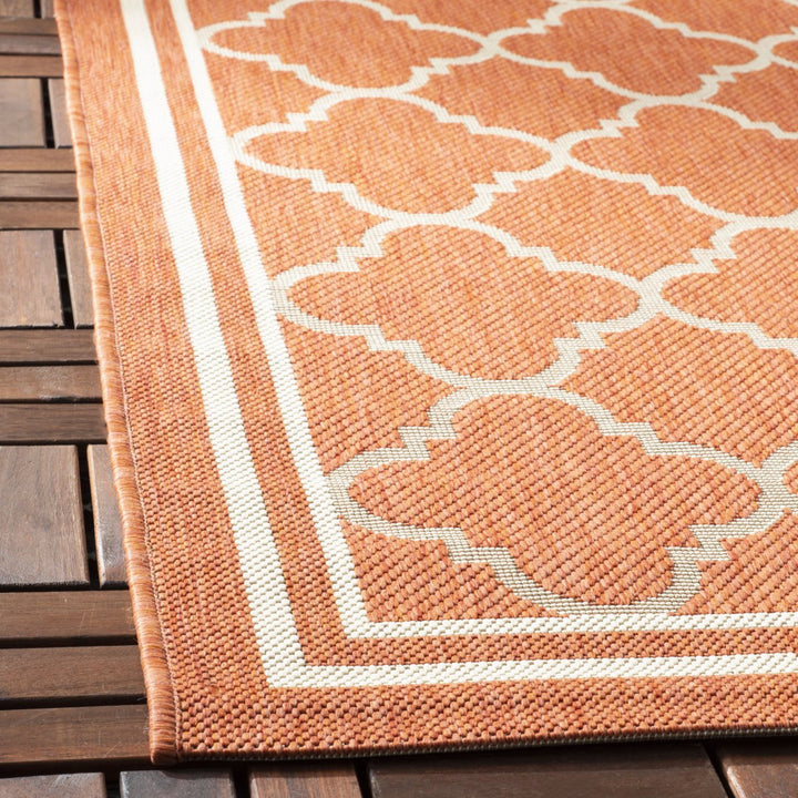 SAFAVIEH Outdoor CY6918-241 Courtyard Terracotta / Bone Rug Image 8