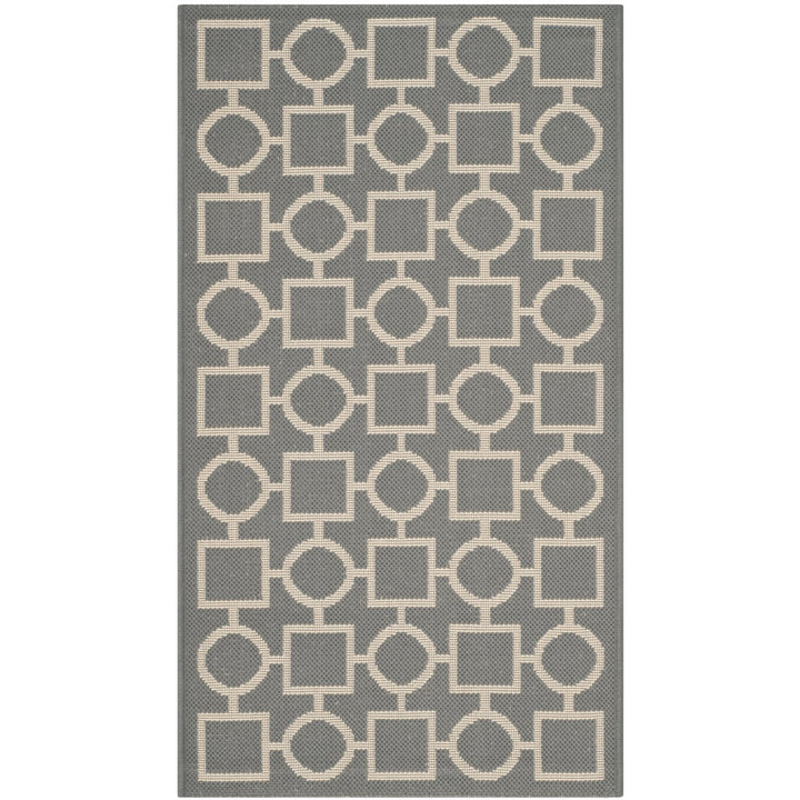 SAFAVIEH Outdoor CY6925-246 Courtyard Anthracite / Beige Rug Image 1