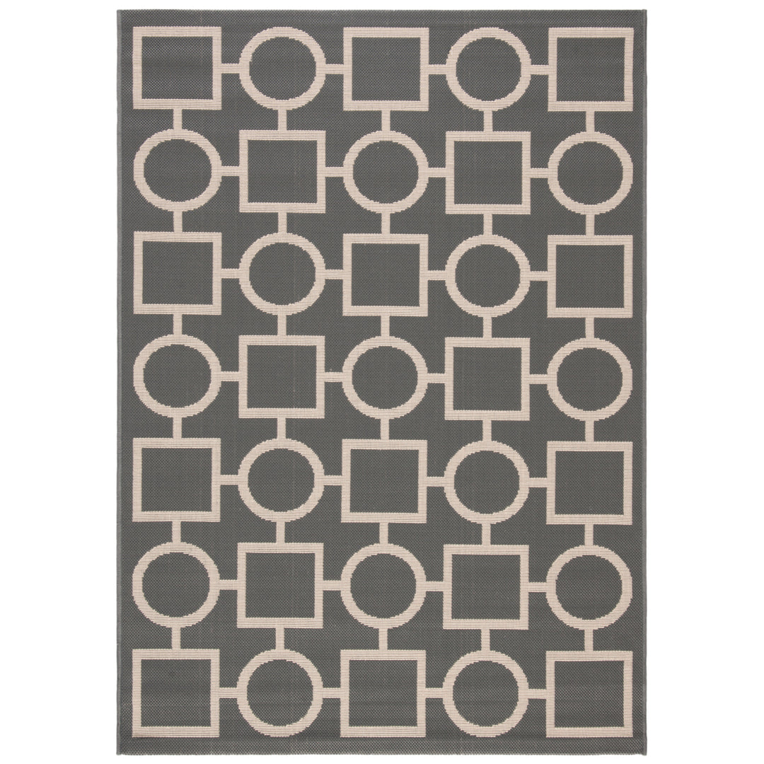 SAFAVIEH Outdoor CY6925-246 Courtyard Anthracite / Beige Rug Image 10