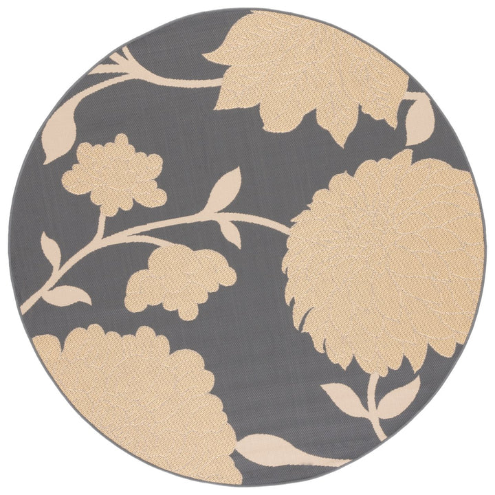 SAFAVIEH Outdoor CY7321-246A21 Courtyard Anthracite / Beige Rug Image 1