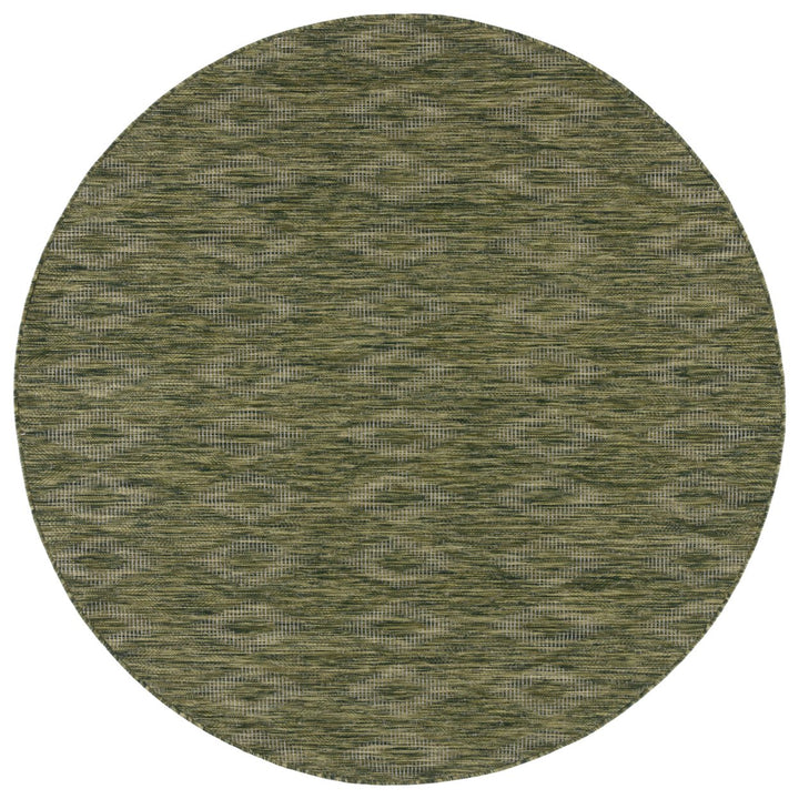 SAFAVIEH Outdoor CY8522-37922 Courtyard Collection Olive Rug Image 1