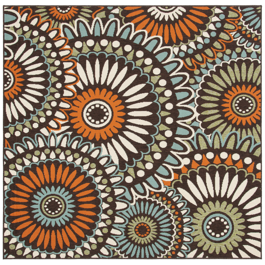 SAFAVIEH Outdoor VER091-0725 Veranda Chocolate / Terracotta Rug Image 7