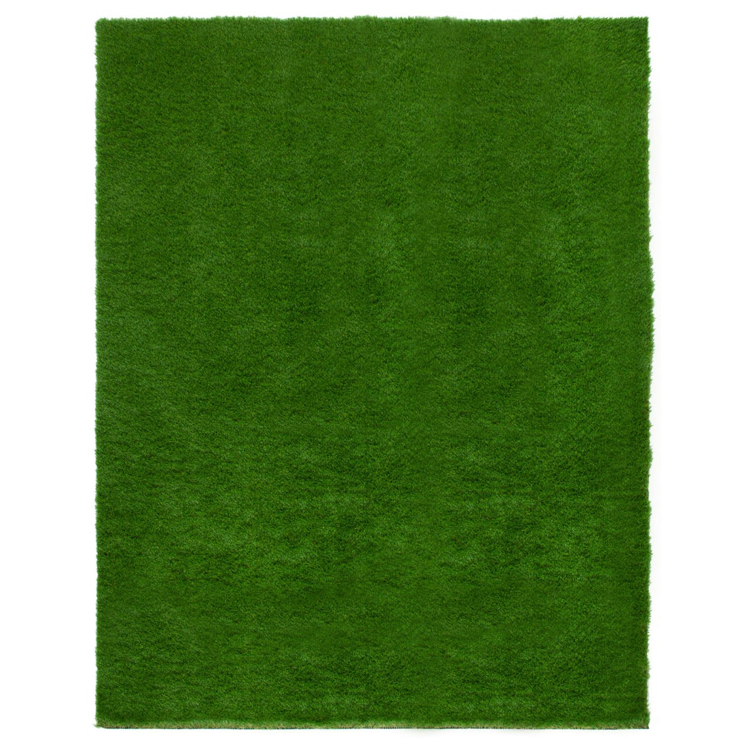 SAFAVIEH Indoor Outdoor VST100A Vista Collection Green Rug Image 1