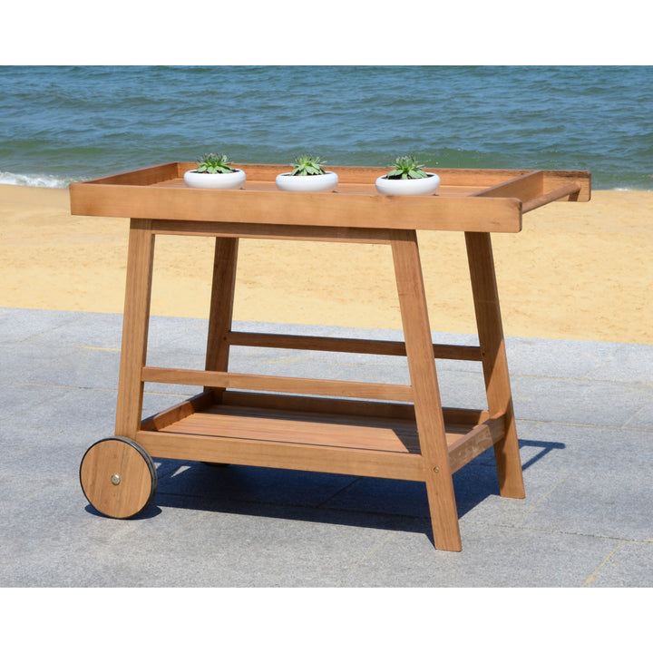 SAFAVIEH Outdoor Collection Renzo Indoor/Outdoor Bar Cart Natural Image 3