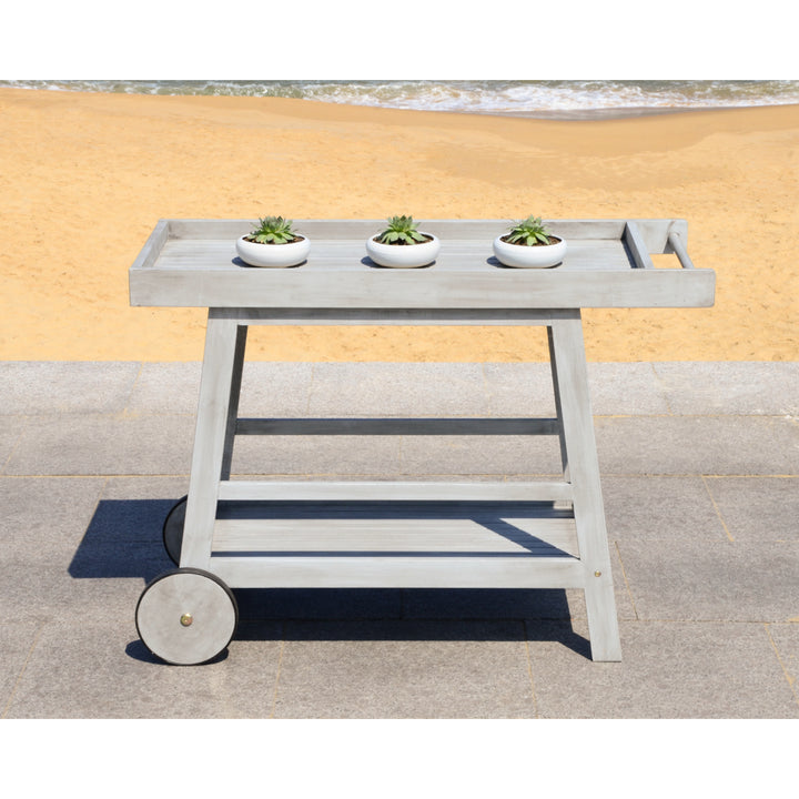 SAFAVIEH Outdoor Collection Renzo Indoor/Outdoor Bar Cart Grey Wash Image 4