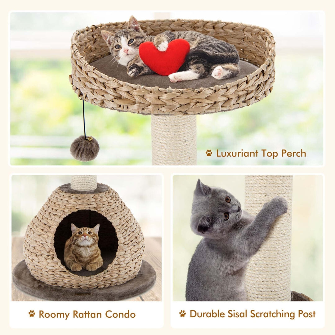 28 Hand-Made Cat Tree Tower Natural Bowl Shaped w/Perch Image 8