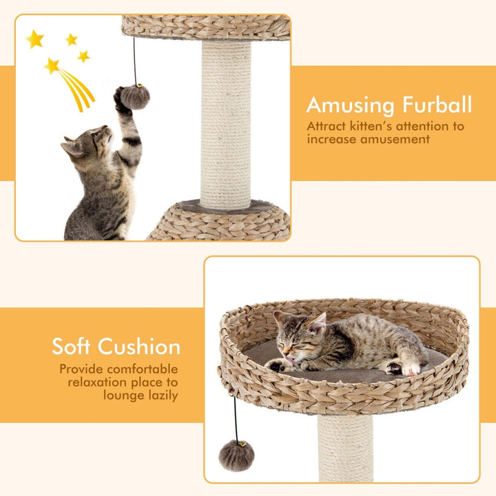 28 Hand-Made Cat Tree Tower Natural Bowl Shaped w/Perch Image 9