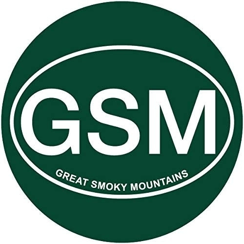 R and R Imports Great Smoky Mountains Tennessee 4 Inch Round Magnet Image 1