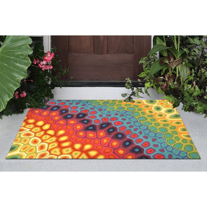 Liora Manne Visions IV Multi Color Indoor Outdoor Area Rug 100% Polyester 5x7 Image 1