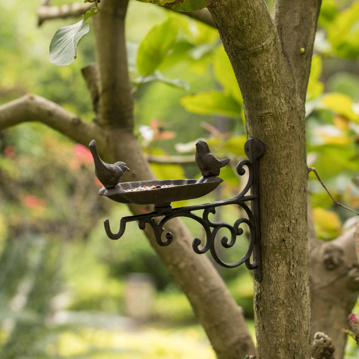 Bronze Wall Mounted Iron Bird Bath Feeder Garden Decor 11x11x8.5 Inches Image 3