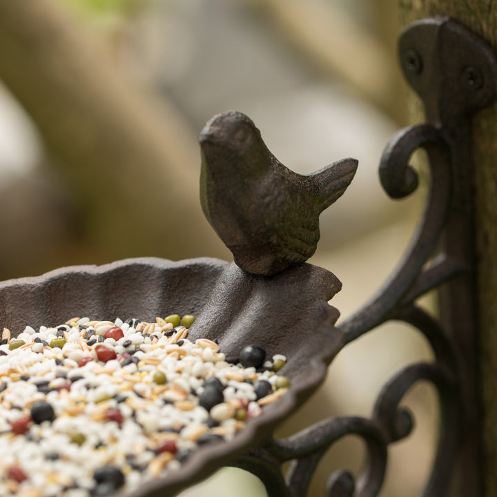 Bronze Wall Mounted Iron Bird Bath Feeder Garden Decor 11x11x8.5 Inches Image 9