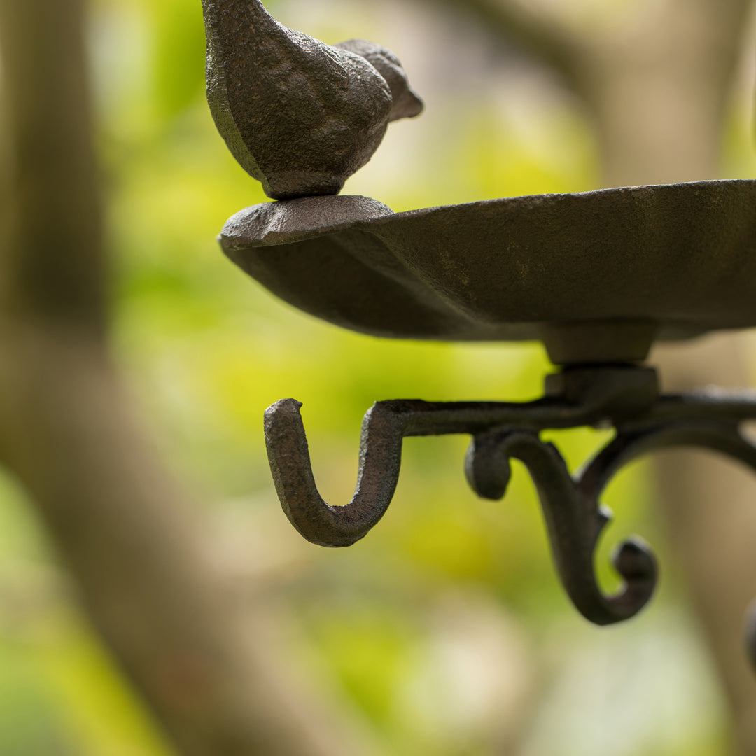 Bronze Wall Mounted Iron Bird Bath Feeder Garden Decor 11x11x8.5 Inches Image 12