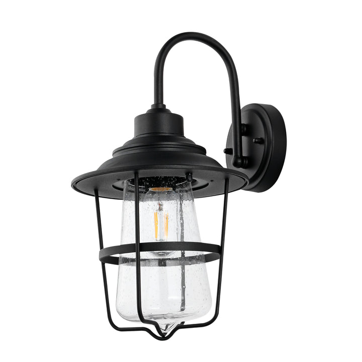 SAFAVIEH Stern Outdoor Wall Lantern  Clear / Black Image 1