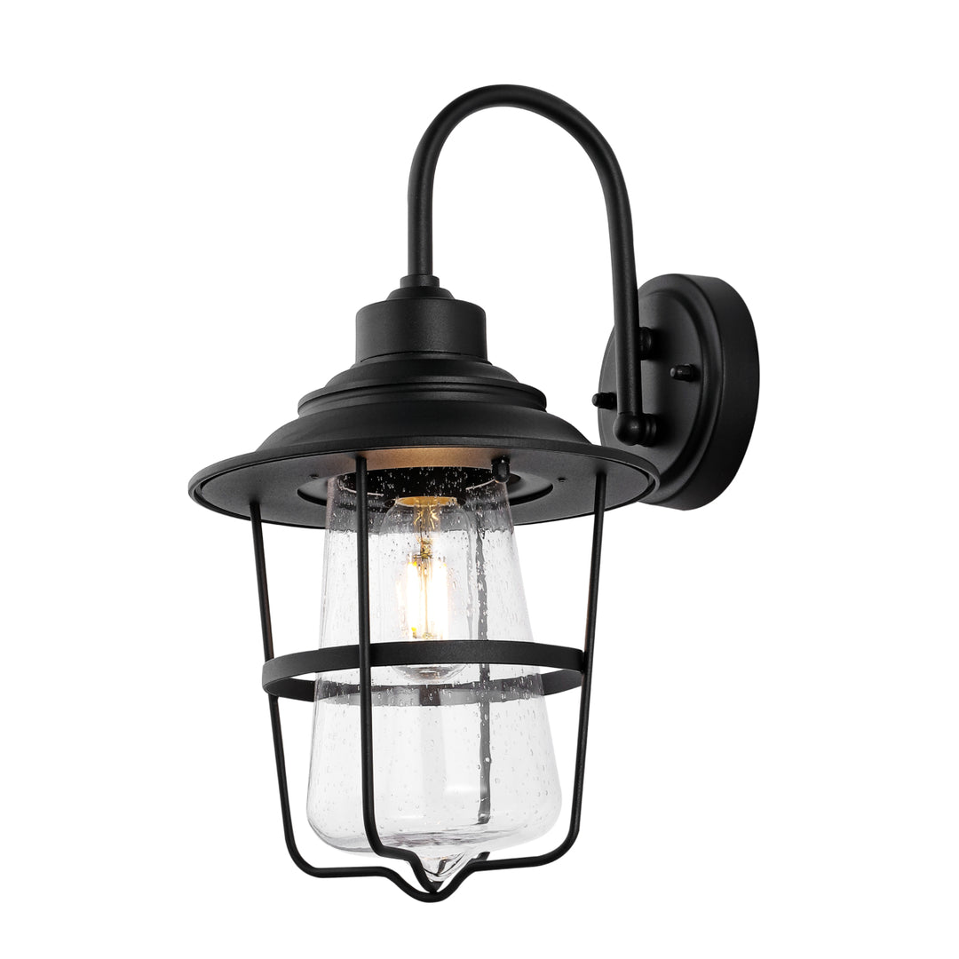 SAFAVIEH Stern Outdoor Wall Lantern  Clear / Black Image 2