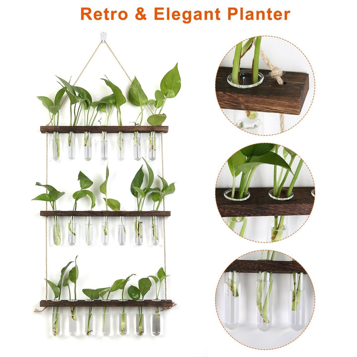 3 Tier Wall Hanging Planter Wooden Frame Glass Hydroponic Vase Terrarium Image 2