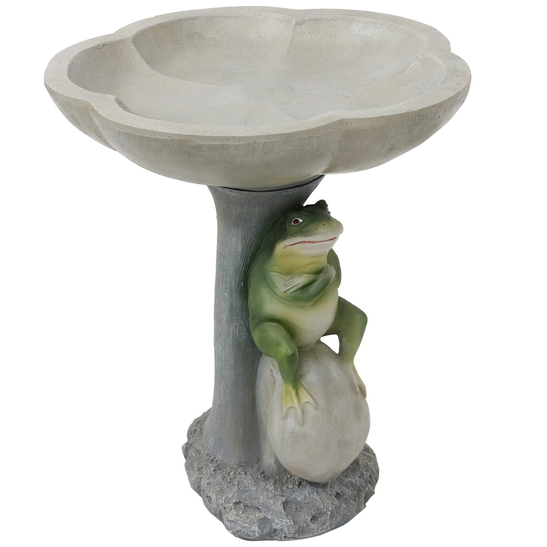 Polyresin Brooding Frog on Stone Outdoor Garden Bird Bath - 22 in by Sunnydaze Image 1