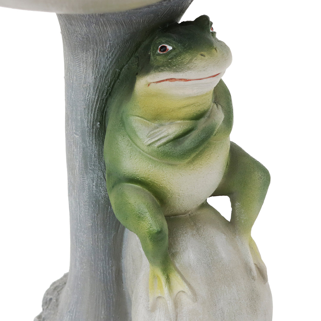 Polyresin Brooding Frog on Stone Outdoor Garden Bird Bath - 22 in by Sunnydaze Image 5